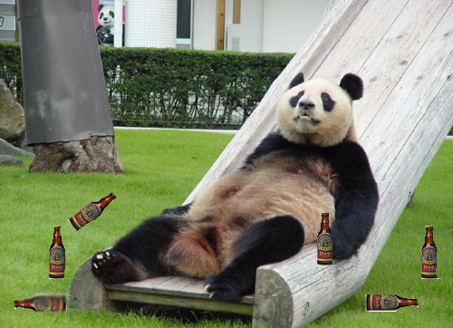 drunk-panda.jpg